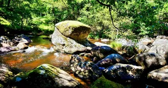 Les Rochers de Négremont, à Rempnat_4