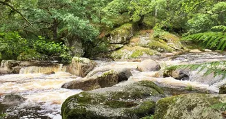 Les Rochers de Négremont, à Rempnat_2