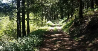 Saint-Julien-le-petit-Boucle du Mont Larron_1