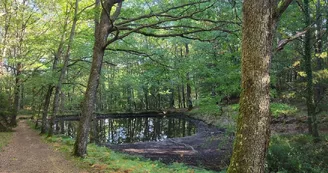 Terra aventura (2) Forêt des Loges
