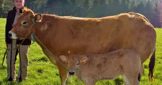 MjAxOTAzN2E1NTI3OWRhMDY2YjZhNmU4ZTk4ZjY0YTlmNzJjYzY