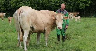 site_moulliere_blonde_aquitaine