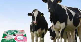 ferme-les-prouveries-02