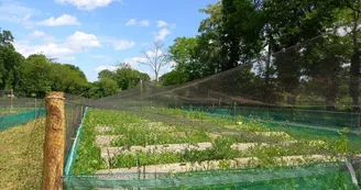 ferme-des-goussieres-02