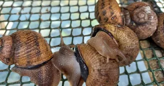 ferme-des-goussieres-05