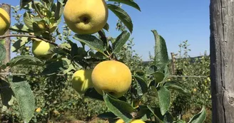 Le Verger des Roches