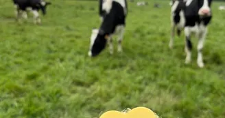 Les savons de la ferme du Coudray - St Germain de Coulamer