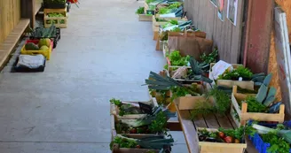 Des producteurs présents au fil des saisons