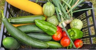 Le jardin de la butt’ à vent