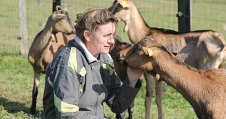 ferme du petit coin de paradis