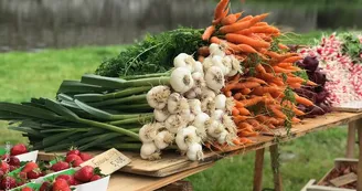 rendez-vous des producteurs