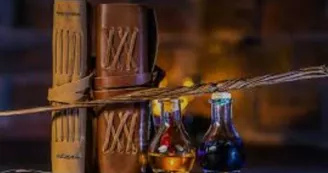 expo participative harry potter