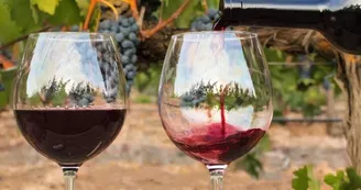 visite un verre à la main olive martin