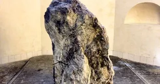 Visiteurs Internationaux