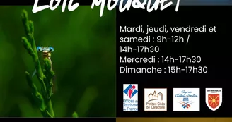 thumbnail_Affiche expo Loïc Mouquet 3