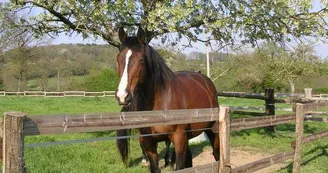 Gîte d'étape et de séjour - LES PERLES 