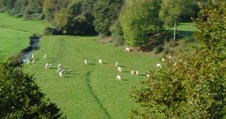 Gîte d'étape et de séjour - LES PERLES 