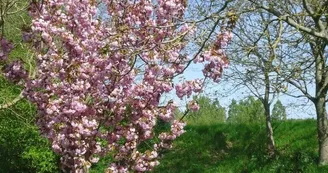 Gîte d'étape - Le Marronnier (12 pers.)