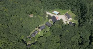 Notre clairère dans la forêt