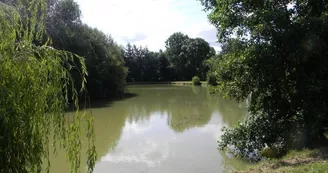 Gîte étape et séjour - Domaine des Mille Oiseaux : Le Grand Piaf