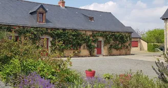 20250427_Cropped ctyd