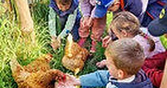 bf81be_cef8b2a4a99a48379c763bb9754f2205~mv2