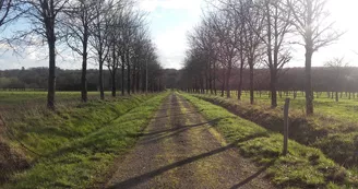 SEM-la-lande-ferriere-11