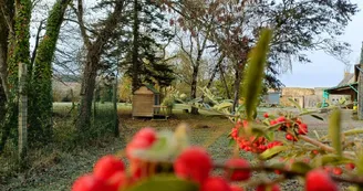 2c5a6949-6d40-4467-9a2f-5dbe78847916