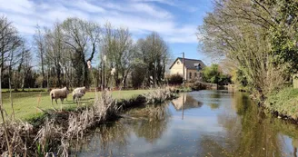 Copie de IMG_20220318_153132