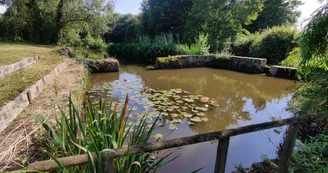 IMG_20250723_173841 (1)