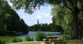 Camping du Mûrier à Craon