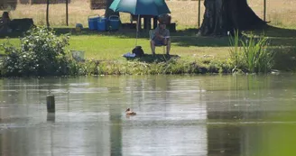 Camping de la Chesnaie 10