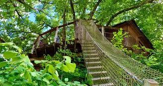 cabane-New-York-dans-les-arbres