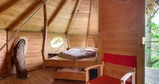 Domaine-des-vaulx-cabanes-arbres-005