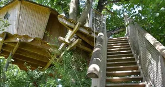 Domaine-des-vaulx-cabanes-arbres-007