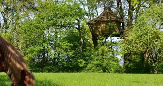 Domaine-des-vaulx-cabanes-arbres-009