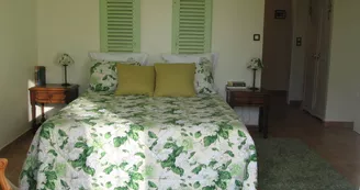 Presbytère de Vieuvy chambre d'hôtes Verte_5614