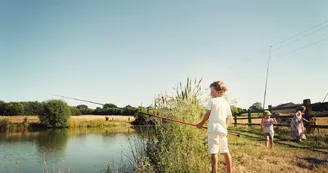 chouetteRoulotte (1)