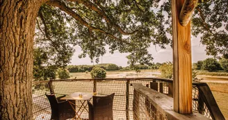 Entreprise_ChouetteCabane_JustineB-6