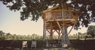 HLO-la-chouette-cabane-07