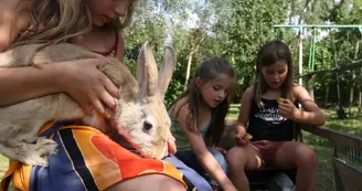 5K5P9889---Copie---Copie