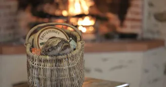 montenay_gite-longueve_tourisme-durable_2013_jc-druais_bd (15)