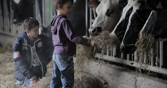 montenay_gite-longueve_tourisme-durable_2013_jc-druais_bd (23)