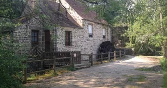 Promenade au bord de la Sarthe, moulin de Trotté