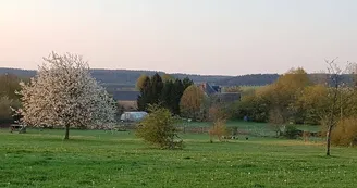 Vue sur la campagne de Lignières-Orgères