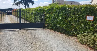 Chambre d'hôte - Ambrières-Les-Vallées 53 © Chambre d'hôte La Varenne - 5