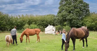 Au domaine des pierres jumelles - Doma et Chevaux