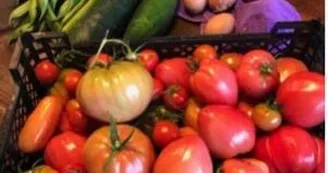  Produit de notre potager