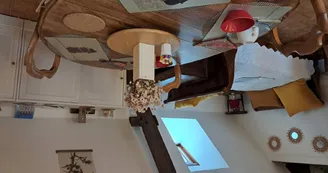 Chat-hirsute-2025-3e-lit