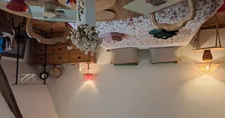 Chat-hirsute-2025-chambr-config-lit-double-1